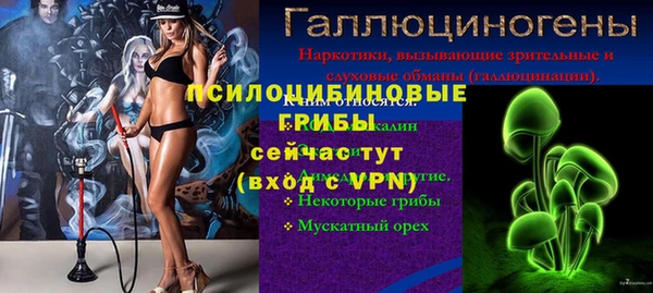 винт Белокуриха