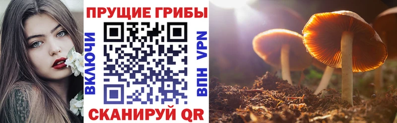 магазин  наркотиков  Обь  Псилоцибиновые грибы прущие грибы 