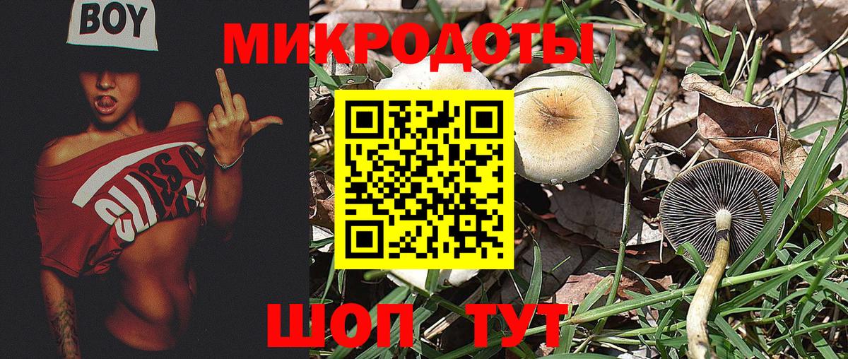 Обь  Псилоцибиновые грибы GOLDEN TEACHER  Вход с VPN  Галлюциногенные грибы Psilocybe 