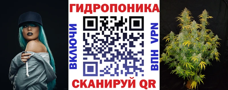 Канабис Amnesia  купить наркотики цена  Обь 